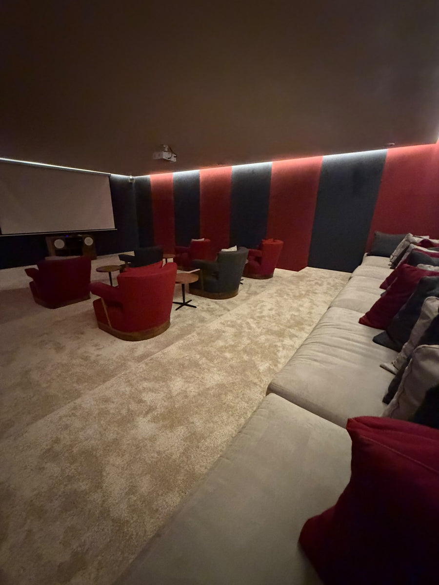 La salle de projection